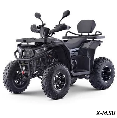 Квадроцикл бензиновый MOTAX GRIZLIK W200 Квадроцикл бензиновый MOTAX GRIZLIK W200