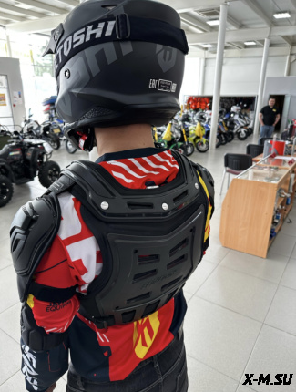 Мотозащита (черепаха с рукавами ACE BIKER XD4-96 цв. Черный р.L