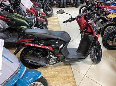 Скутер PROMAX Vision 200(49)