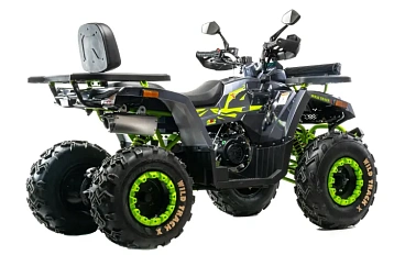 Квадроцикл MOTOLAND (МОТОЛЕНД)  VOX200 WILD TRACK X WINCH (баланс. вал)