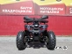 Квадроцикл PROMAX WILD 175 BASIC