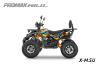 Квадроцикл PROMAX WILD 2.0 190 PRO (2025)