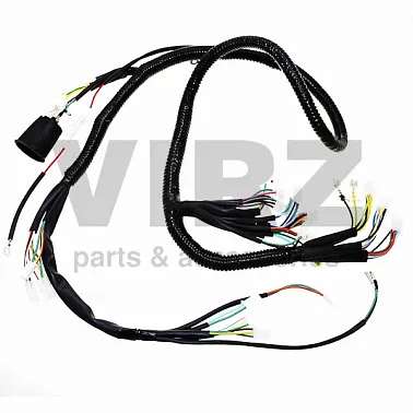 Жгут проводов CENTRINO, F22