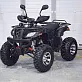 Квадроцикл Grizzly 200